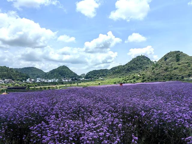 走进秀美花溪 触摸发展活力——2025年媒体调研行见证花溪高质量发展新图景