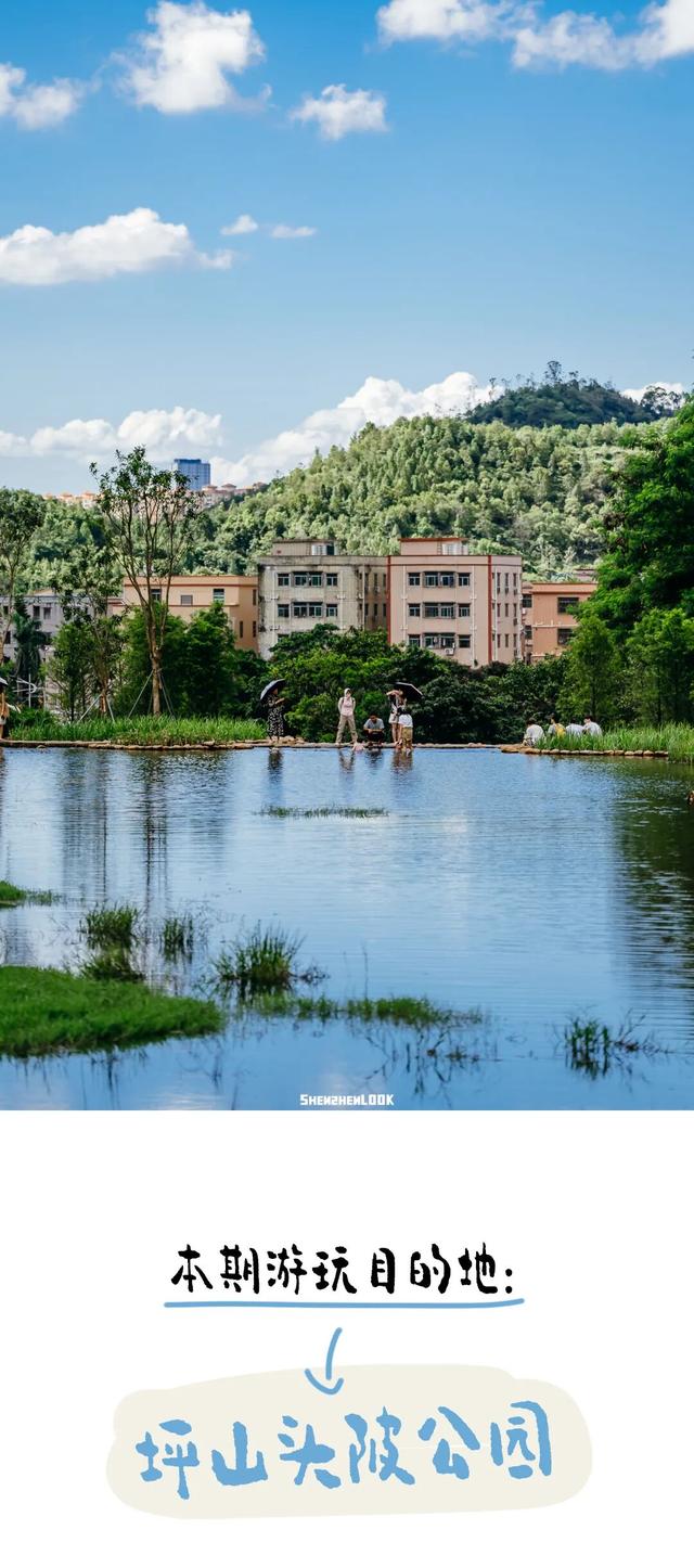 深圳很火的溯溪地，真的好玩吗？