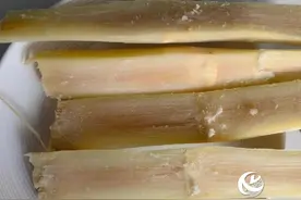 清明蔗 “毒过蛇”  有这种特征的甘蔗不要吃图片