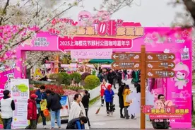 樱花+美酒+咖啡+汉服？这场樱花树下的联名快闪玩疯了！图片