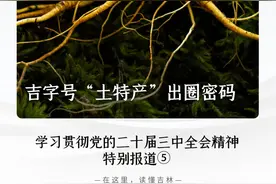 学习贯彻党的二十届三中全会精神·特别报道⑤｜ 吉字号“土特产”出圈密码图片