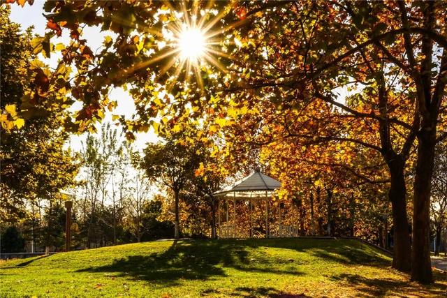 一键Get√氛围感！来这里，将海淀的秋收在镜头中——