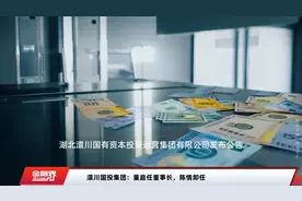澴川国投集团：董庭任董事长，陈情卸任视频封面