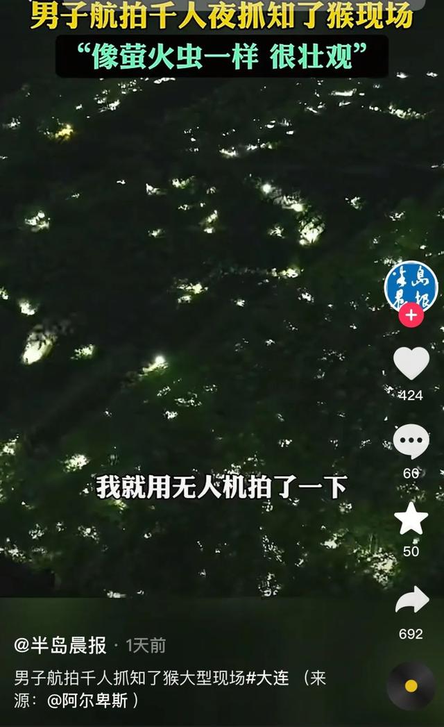 180元/斤的知了猴，快被山东人薅没了