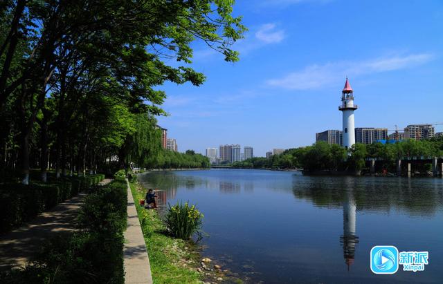 我家门前那条河·虞河篇 | 长河碧波萦 九曲系乡愁