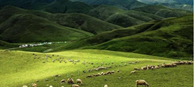 我在云南等你丨曲靖：中秋国庆来一场治愈之旅——观美景、寻美味、觅诗意