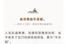 那些适合用来当个性签名的古诗词，快收藏图片