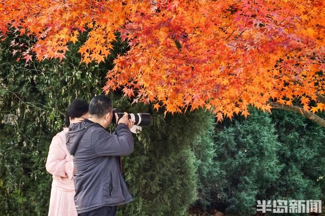 世博园冬色斑斓，暖阳周末醉游人