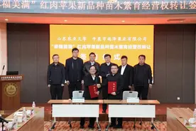 历经12年选育 山东农大“幸福美满”苹果新品种转让1600万元图片