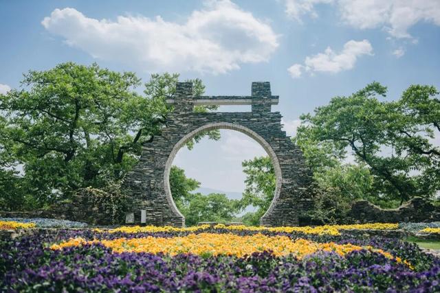 「听 · 吧」云裹核香漫山来