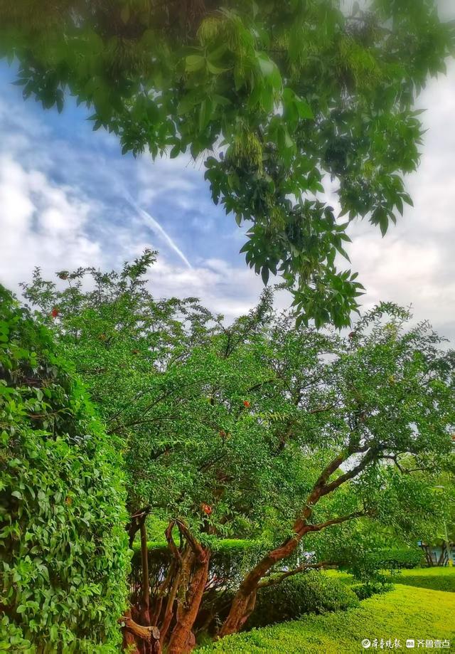 一夜雨后，英雄山风景区清新自然