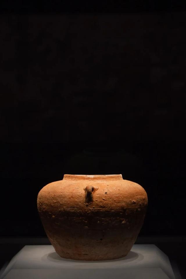 长株潭城际漫游丨霸王龙、越人、大墓、古井、金银器……这个博物馆让人大感震撼