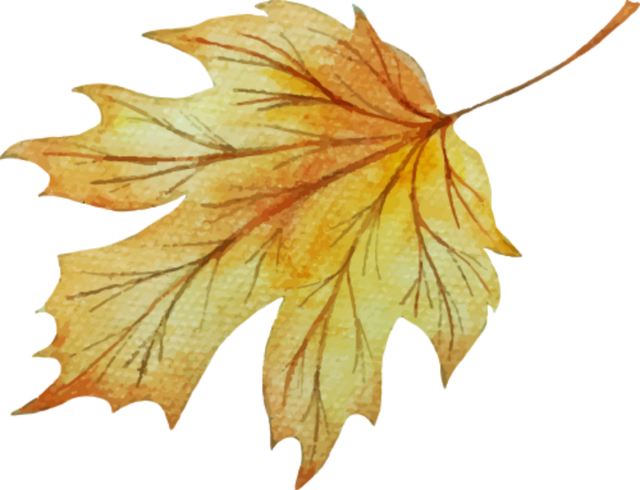 福安枫叶“封神”！宝藏打卡地又＋1