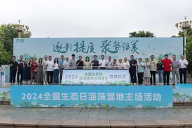 生态环境质量稳步提升！“消失”四十余年的红领绿鹦鹉现身海珠湿地图片
