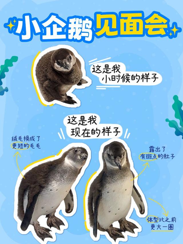 免票、特惠！一大波普陀文旅优惠活动上线→