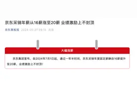 京东采销年薪从16薪涨至20薪，业绩激励上不封顶图片