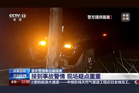 男子为骗保开车撞树！当场死亡图片