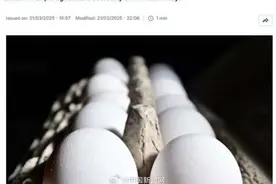 为缓解“蛋荒”，美国找上韩国和土耳其图片