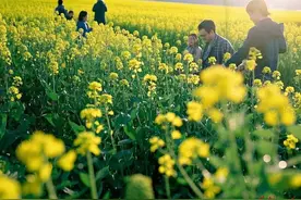 湖南省花期预报出炉 赏花踏青正当时图片