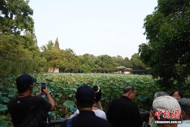 浙江南浔古镇：游人尽享水乡风情