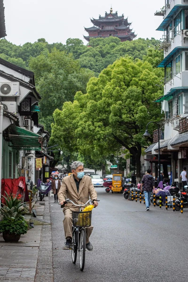 干鮸鱼胶的做法 2026年干鱼胶的正确做法和吃法视频