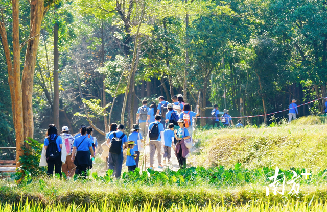 徒步做公益，这场活动筹款超121万元