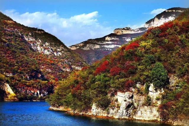 谁说冬天只有黑白？这抹彩色绚烂得不讲道理