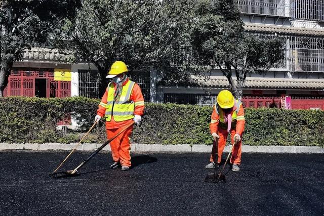 黑路面+银杏道！大凤路景区段绿美“上新”