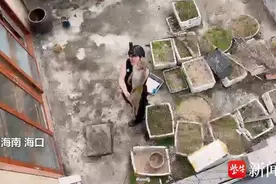 海南野猴伤人偷婴儿事件进展：南京专业队伍赶往抓猴1小时得手图片