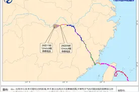 广东一海滩出现大量海鲜，紧急提醒→图片