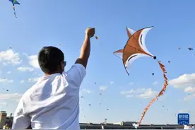 德国柏林举行巨型风筝节图片