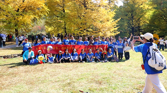 双牌：银杏黄 乡村火 “风景”变“产业”