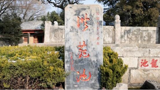 福胶集团总裁杨铧担任2025济南国际泉水节“泉炬手”