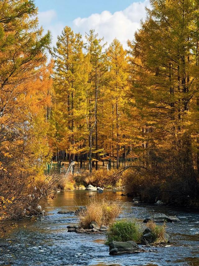 假期闲记（三）