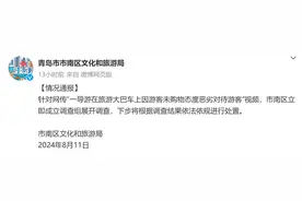 青岛一导游因游客未购物态度恶劣，当地文旅局：已成立调查组图片