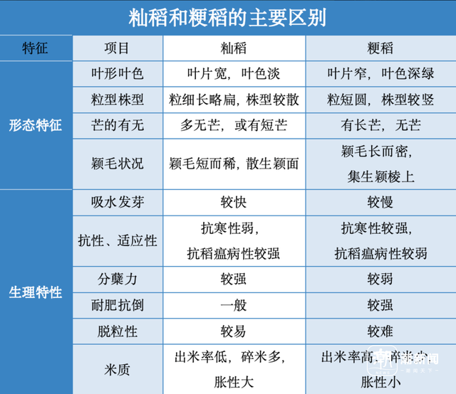 走进青田稻鱼共生博物馆，解码千年江南稻作密码