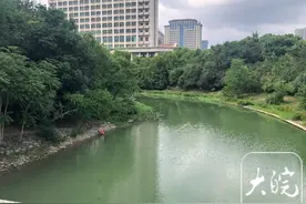 合肥中山路桥塘西河岸坡边很难看到垃圾了，已安装多个监控探头图片