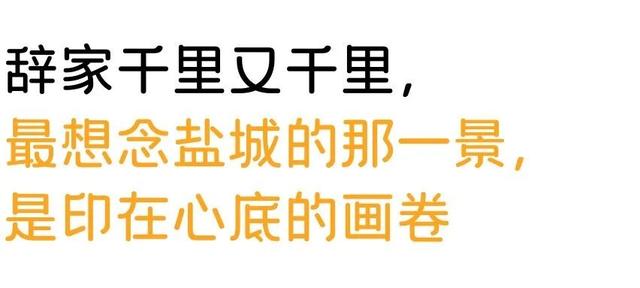 大雪了，你什么时候回盐城啊？