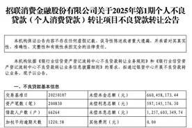 1折“甩卖”！头部消金又出手不良包袱，趋势会延续吗图片