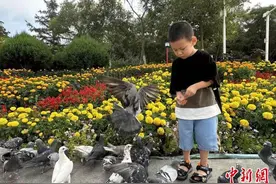 昔日戈壁小镇金昌之变图片