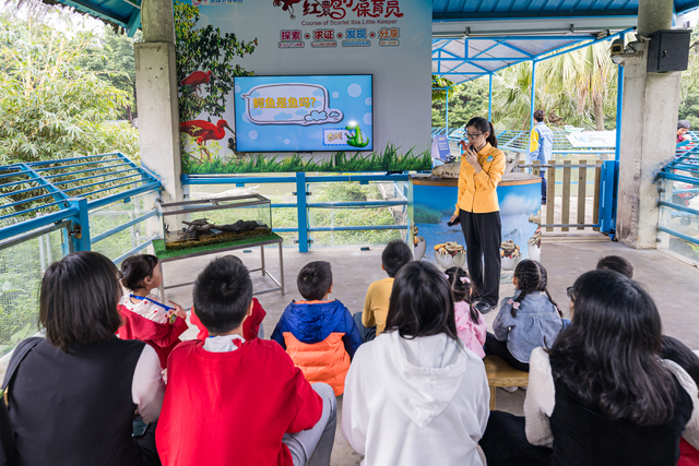 沉浸式自然奇旅开启！长隆飞鸟湿地精灵节盛夏启幕