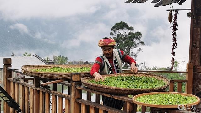 福贡县：农文旅融合栽下百姓“幸福树”