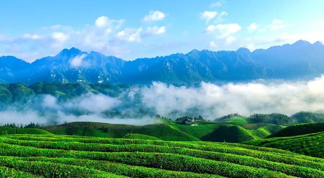 外交部赵立坚热情推荐的恩施这4个地方，究竟有多美？