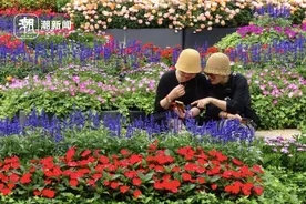 下雨加上回程高峰，5月4日杭州游客量比昨天少了60万人次图片