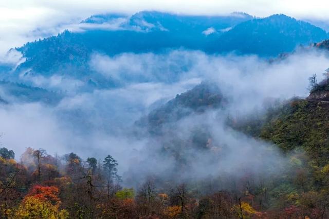 别等天晴了！雨天的秋日瓦屋，藏着你没见过的朦胧浪漫