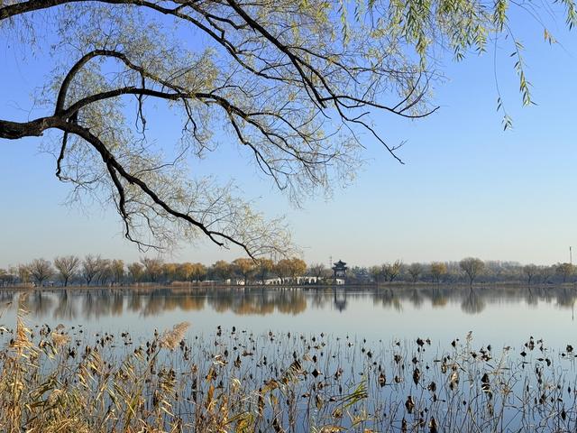 小雪宜出游，颐和园里游人赏初冬美景