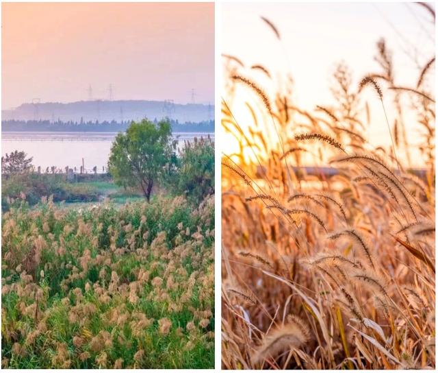 现在的宜兴，已经美成这样了……