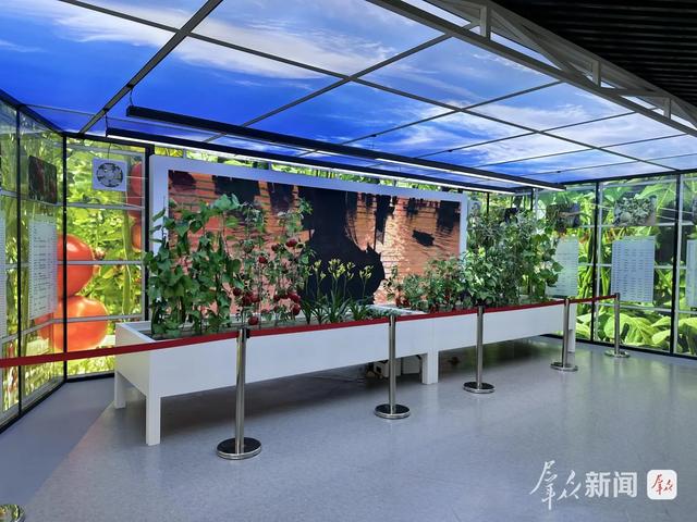 想读懂大荔？起点可以是这里
