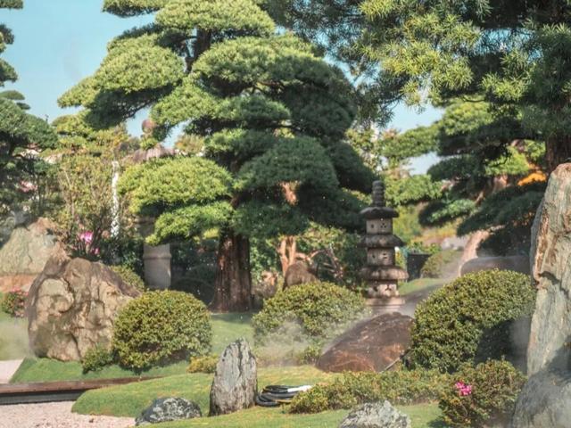 顺德北部创新湾已备好“年味大餐”，游玩攻略→