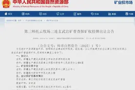 矿权推介｜矿业权招拍挂出让公告信息（第八十七期）图片